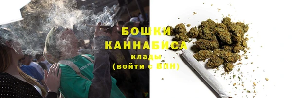 ГАЛЛЮЦИНОГЕННЫЕ ГРИБЫ Касимов