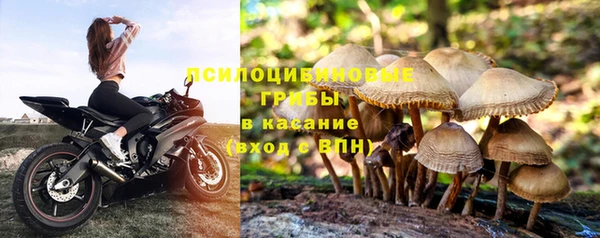 скорость Алзамай