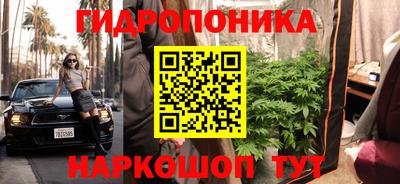 jwh Мирный