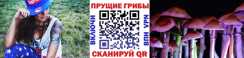 Псилоцибиновые грибы Magic Shrooms  купить  цена  Абакан 