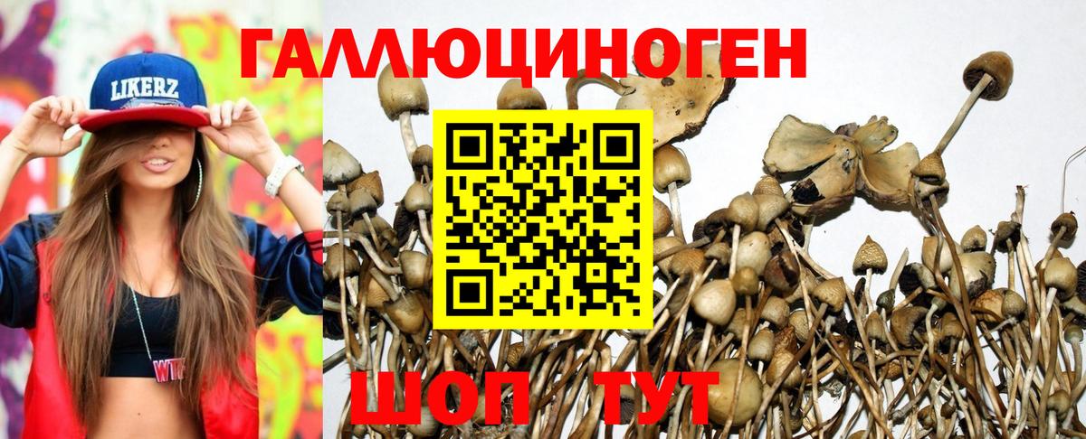 Абакан  Псилоцибиновые грибы ЛСД  Вход с VPN 